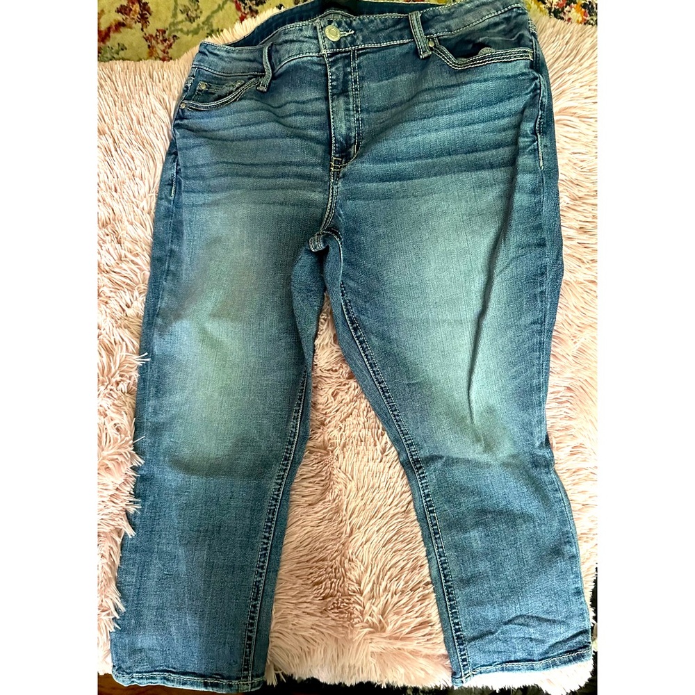 Daytrip crops from Buckle